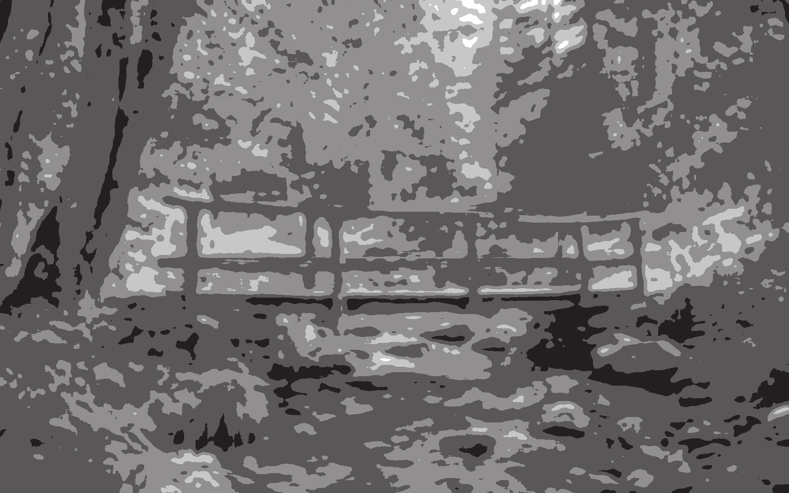 A detailed woodland footbridge photo compared with the same scene reduced to five smoothed tonal values. result