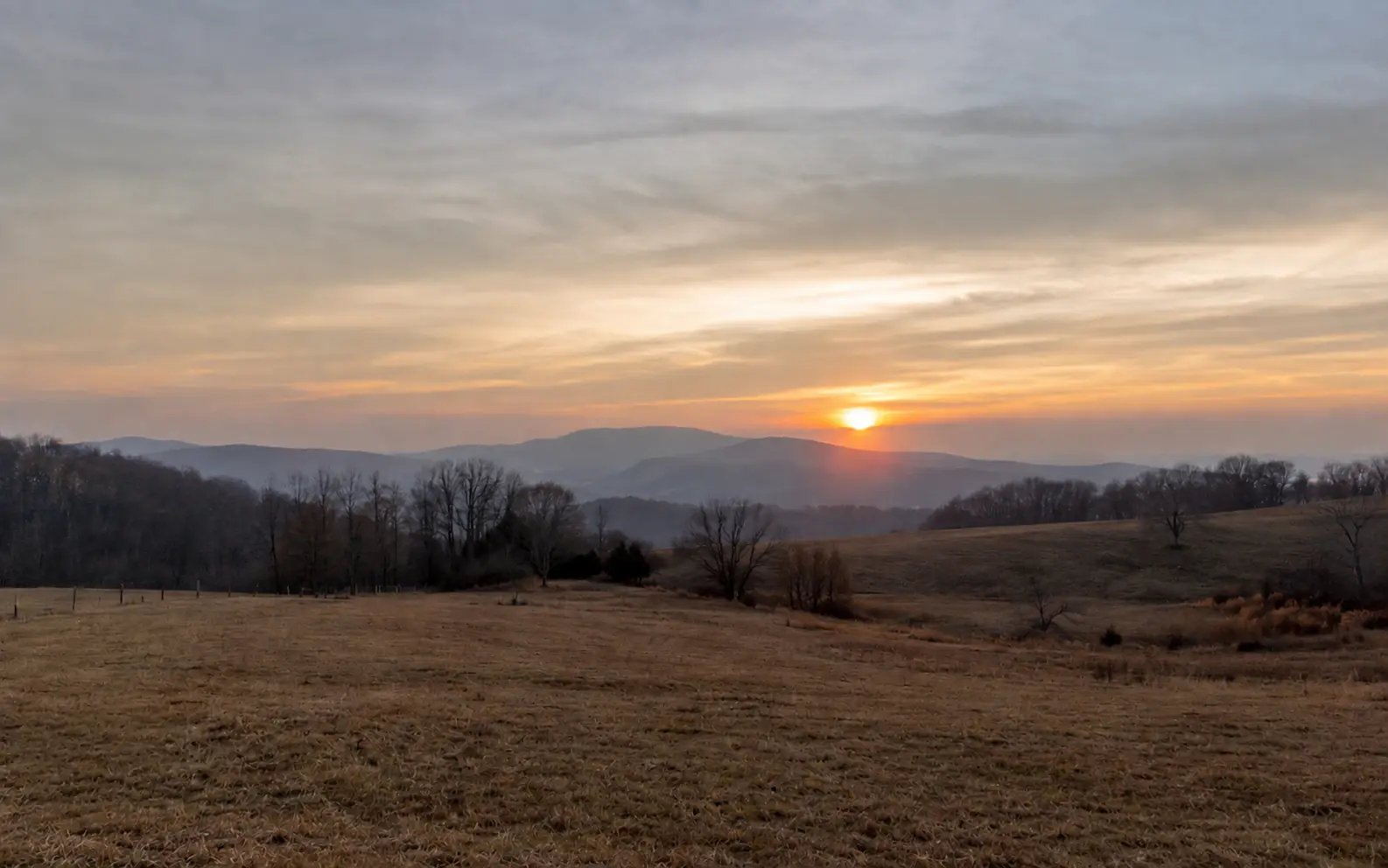 Before-and-after comparison of a circular logo stamp removed from a sunset field photo. overlay